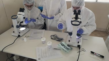 Becas gratuitas en Cartago para trabajar en industria médica: requisitos y cómo aplicar