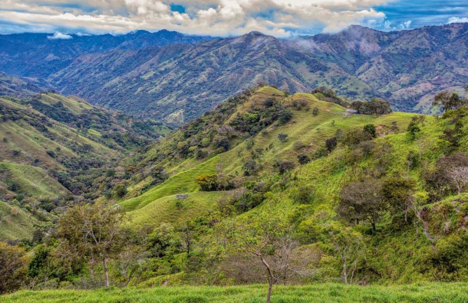 fotografía del reportaje que muestra naturaleza