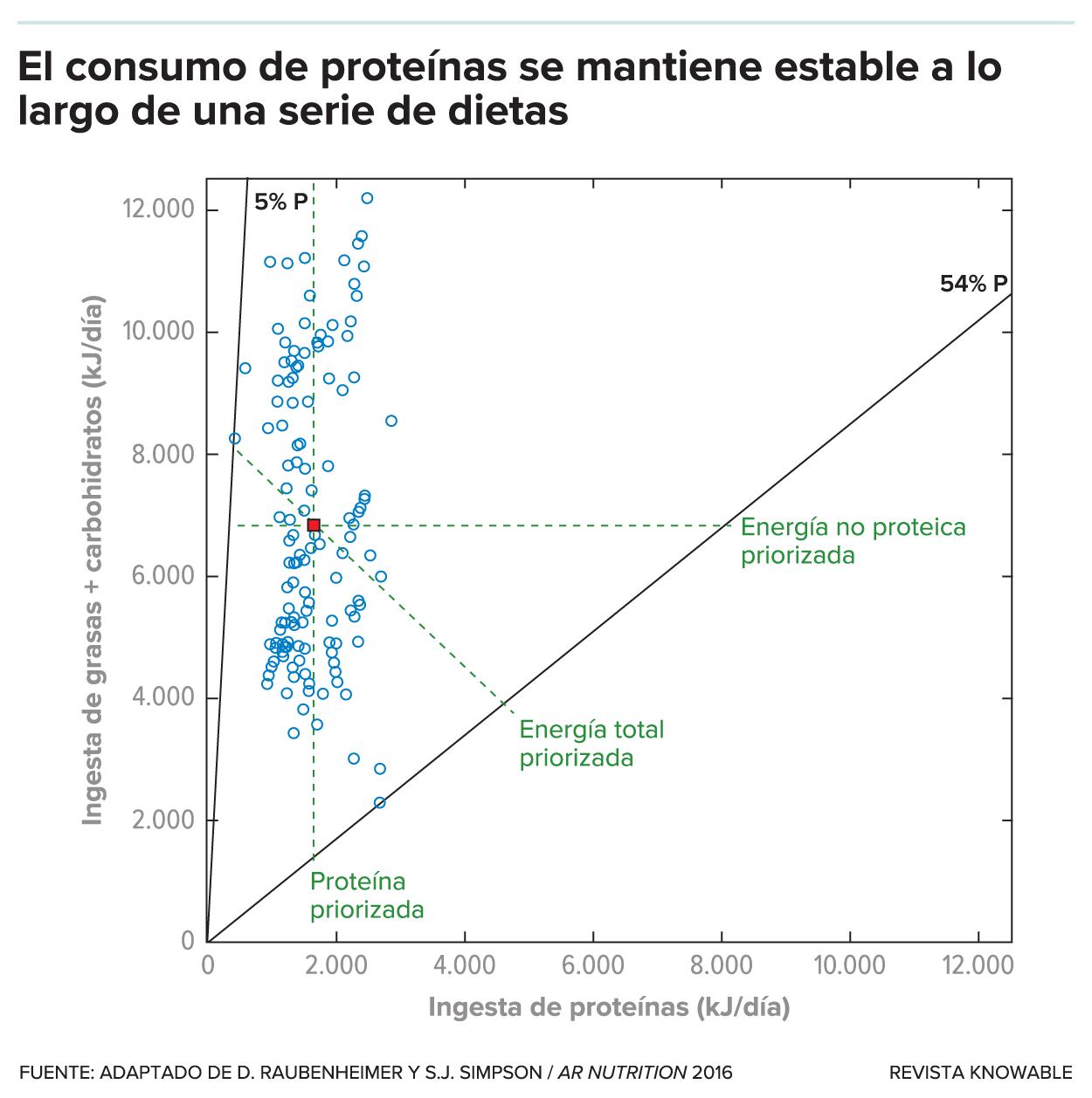 En este gráfico, cada punto azul representa a una persona que se limitó a una dieta que contenía determinadas proporciones de proteínas, grasas y carbohidratos. Podían comer todo lo que quisieran. Como muestra el gráfico, el consumo de proteínas (medido a lo largo del eje horizontal) se mantiene más o menos igual, mientras que la ingesta de grasas y carbohidratos varió, alineándose con la cantidad de grasa o carbohidrato que debe ingerirse para alcanzar el objetivo proteico. Esto se corresponde con la predicción de que se da prioridad a la cantidad de proteínas, como ilustra la línea verde vertical de puntos. Las otras líneas indican cómo cabría esperar que se alinearan los puntos azules si nuestro apetito diera prioridad a la energía total, o energía no proteica.