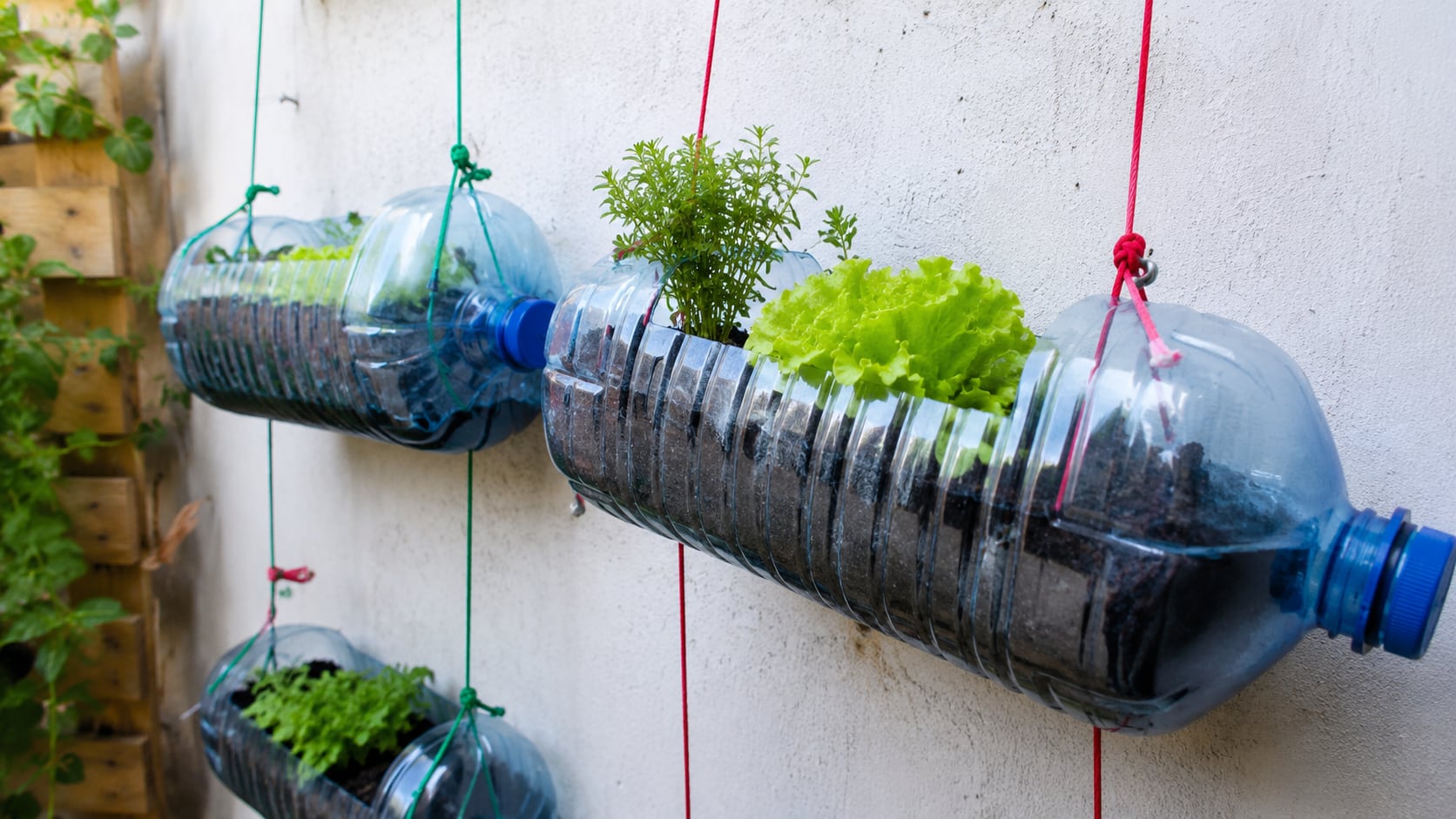 Los garrafones de plástico pueden transformarse en objetos útiles que favorecen el reciclaje y reducen la cantidad de desechos.