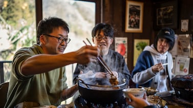 La crisis de los osos en Japón desata una inesperada tendencia culinaria