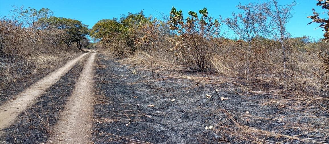 Reserva Biológica Lomas de Barbudal