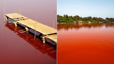 ¿Por qué este lago de África era naturalmente rosa?