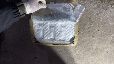 Policía decomisa más de 200 kilos de cocaína en Santo Domingo de Heredia