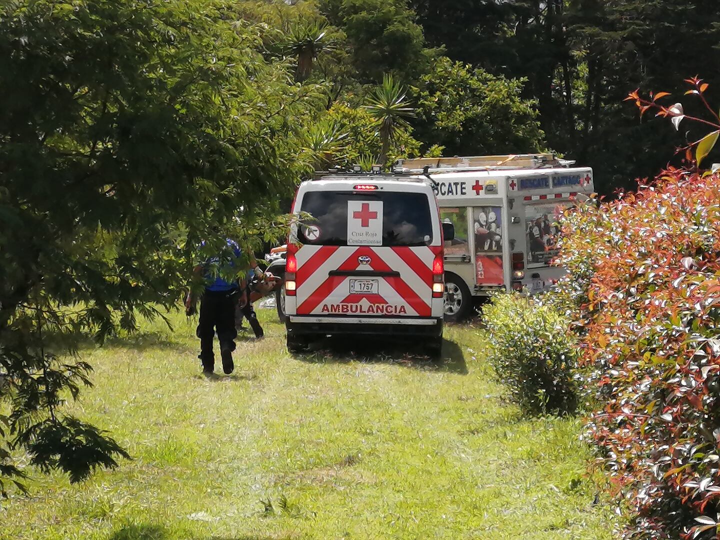 Adulto mayor muere al caer desde árbol a cauce de río en Cartago | La ...