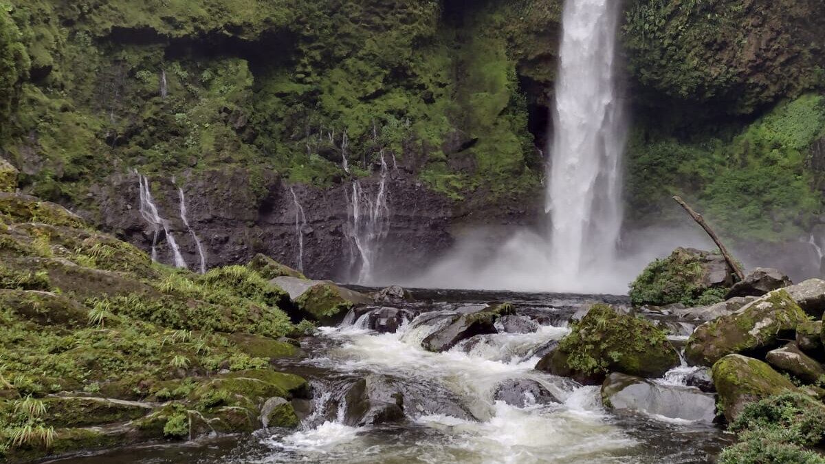 Catarata Dos Novillos se encuentra en la Argentina de Pocora en Guácimo, Limón.