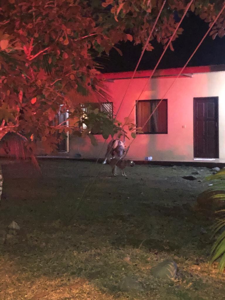 La pareja de novios fue sorprendida a eso de las 6:23 p. m. del sábado en esta caso en barrio Betel de Paso Canoas. Foto: suministrada por Alfonso Quesada.