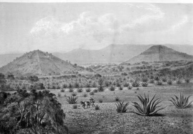 Así lucían las pirámides de Teotihuacan cuando fueron descubiertas.