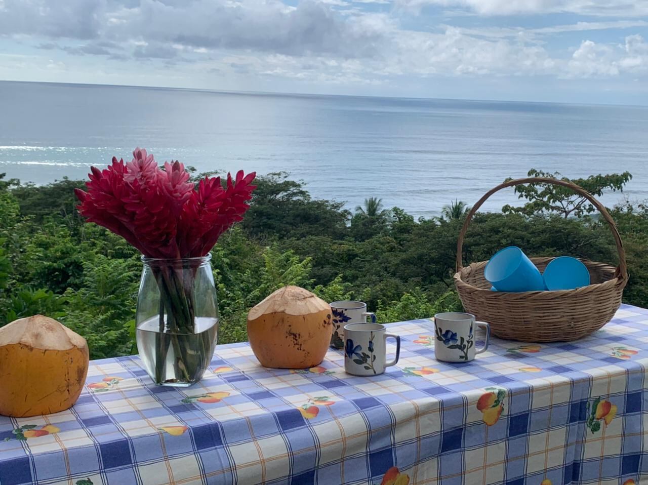 Punta Mala Lodge tiene la combinación de naturaleza, mar, fauna y flora, aparte de la tranquiidd que ofrece la finca. La empresa aboga por la conservación. Foto: Cortesía