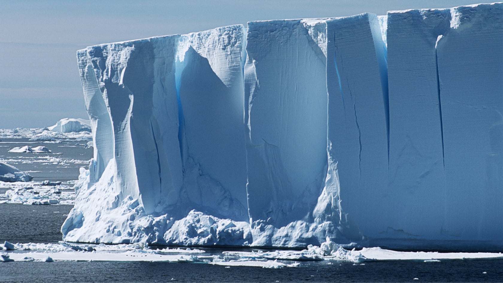 Expedición en 2019 reveló cientos de nidos de peces en patrones geométricos bajo la plataforma Larsen C, en la Antártida.