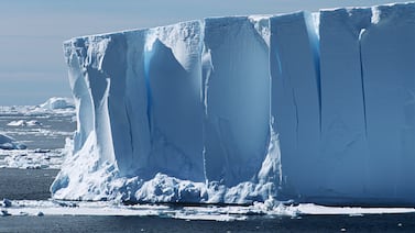 Expedición que buscaba barco en la Antártida encuentra cientos de nidos de peces bajo un iceberg