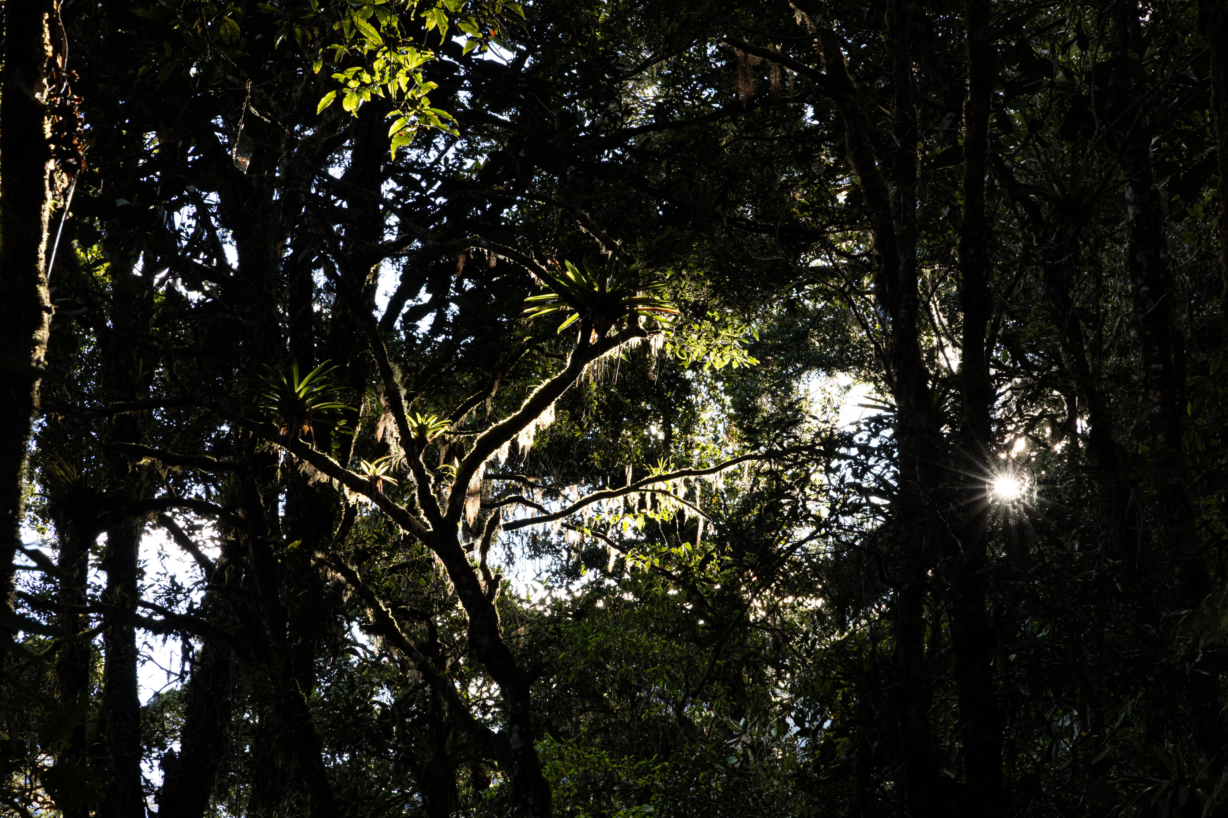 Parque Nacional Chirripo 50 años