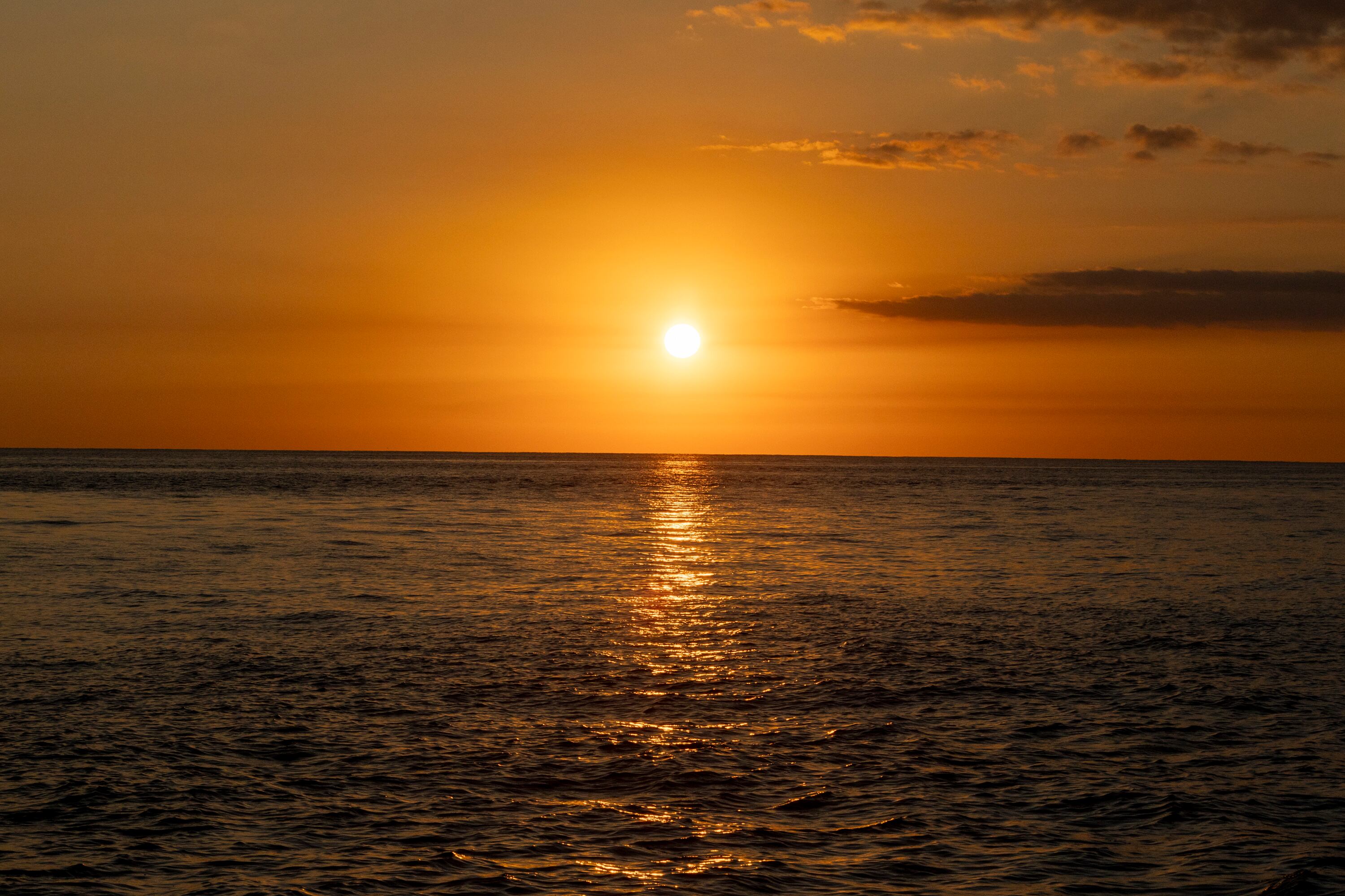 MATERIAL EXCLUSIVO DE LA TEJA.
27/02/2024, Puntarenas, Jacó y Quepos, recorrido por Carara Adventure Park y la Marina Pez Vela, para ver las atracciones que ofrecen al turismo nacional y extranjero.