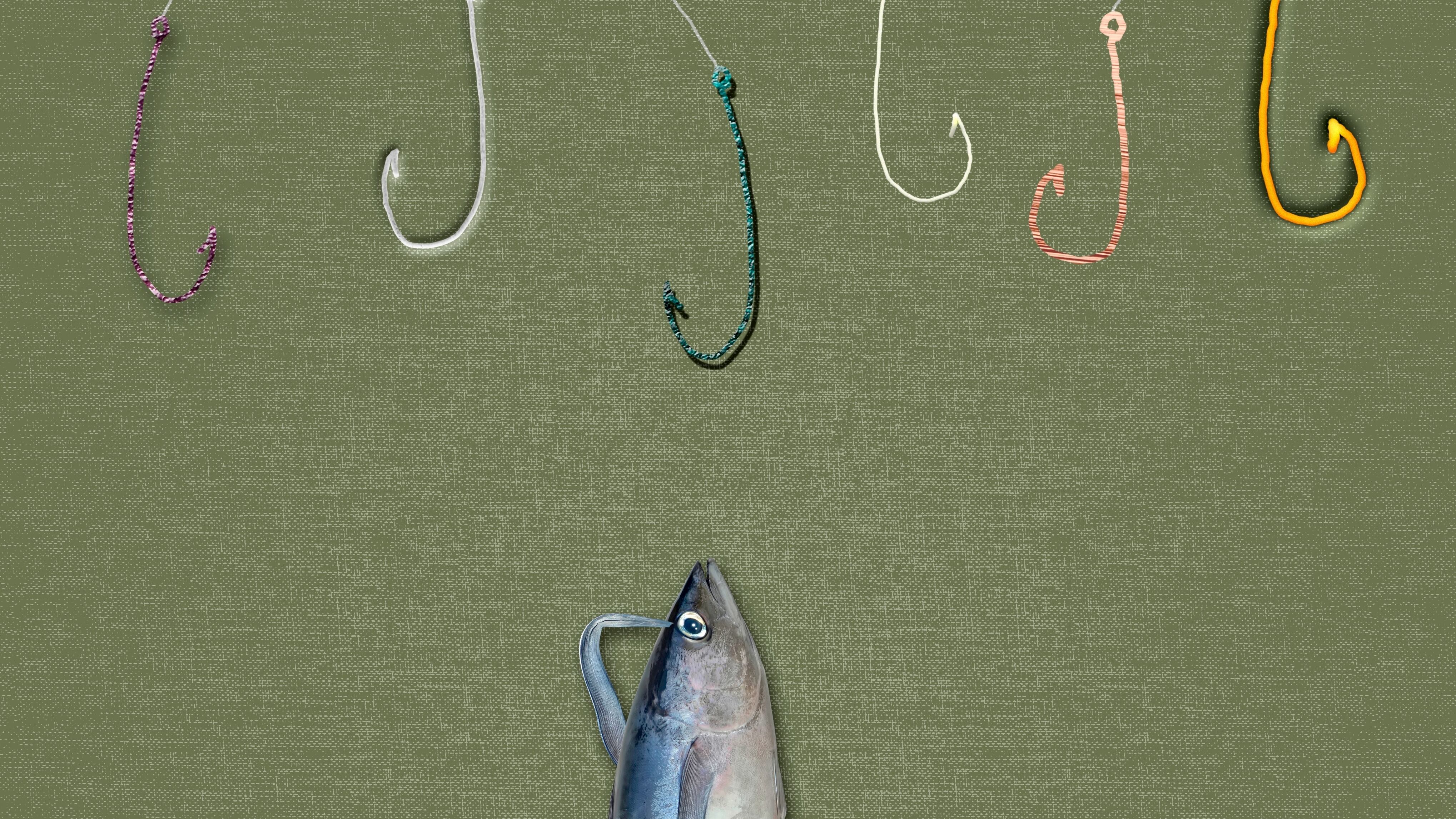 Pescador crea playa artificial en Puntarenas y lucha contra un enorme pez gallo