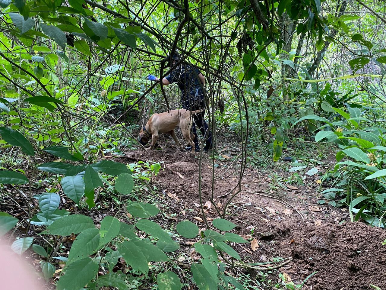 Oficiales del OJ, la Fuerza Pública y voluntarios siguen tras pistas que ayuden a esclarecer lo ocurrido con la joven que en marzo desapareció En Paraíso, cuando caminaba de noche hacia su casa. Foto: Cortesía OIJ.