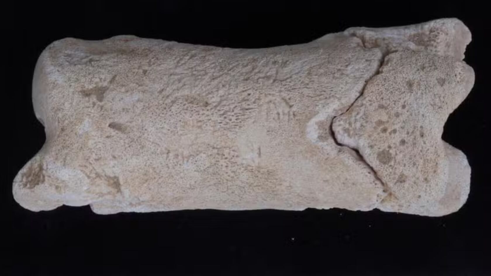 Un silbato egipcio de hueso hallado en Amarna habría sido usado por guardias para proteger una tumba real durante el reinado de Akhenatón.