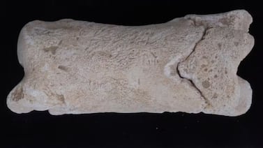 Descubren silbato egipcio de 3.300 años de antigüedad utilizado por los guardias que custodiaban la tumba real