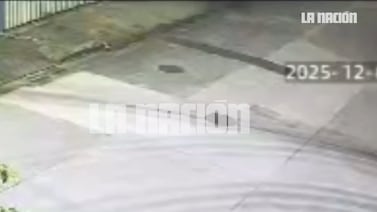 Video captó aparente riña entre pareja de agentes del OIJ en Goicoechea