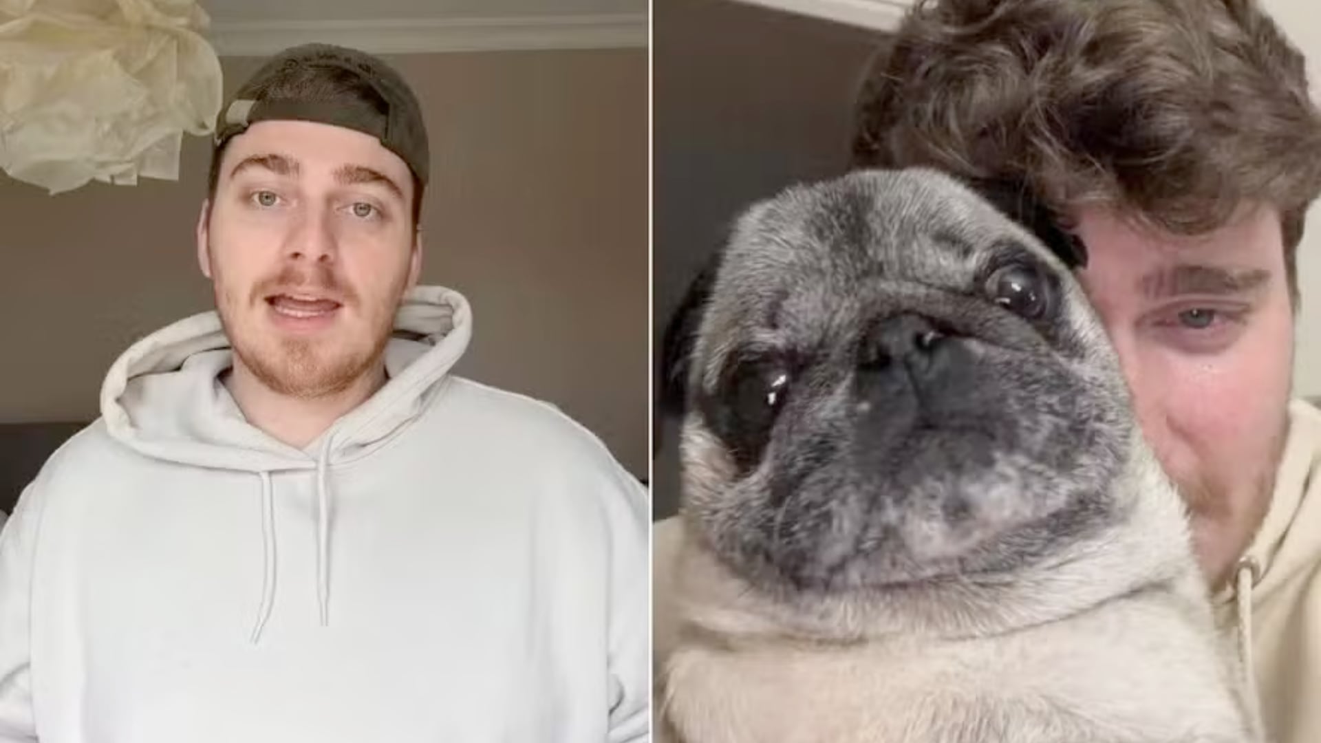 El creador de contenido admitió que inventó el secuestro de su perro. Afirmó que entregará a organizaciones el dinero obtenido.