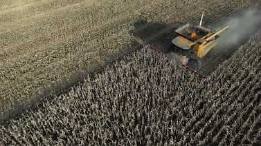Sector agrícola argentino demora ventas a la espera de políticas de Javier Milei