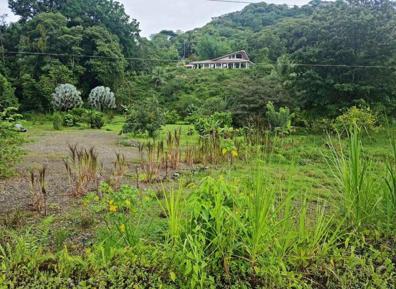 Extranjeros asesinados en Quepos