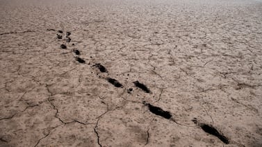 ONU alerta de un 80% de probabilidad de un episodio de El Niño entre junio y agosto