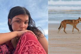 Turista canadiense encontrada muerta en playa de Australia se ahogó tras ataque de dingo, según informe forense