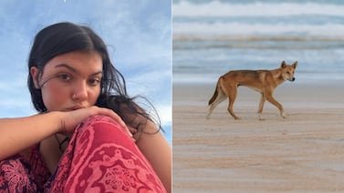 Turista canadiense encontrada muerta en playa de Australia se ahogó tras ataque de dingo, según informe forense