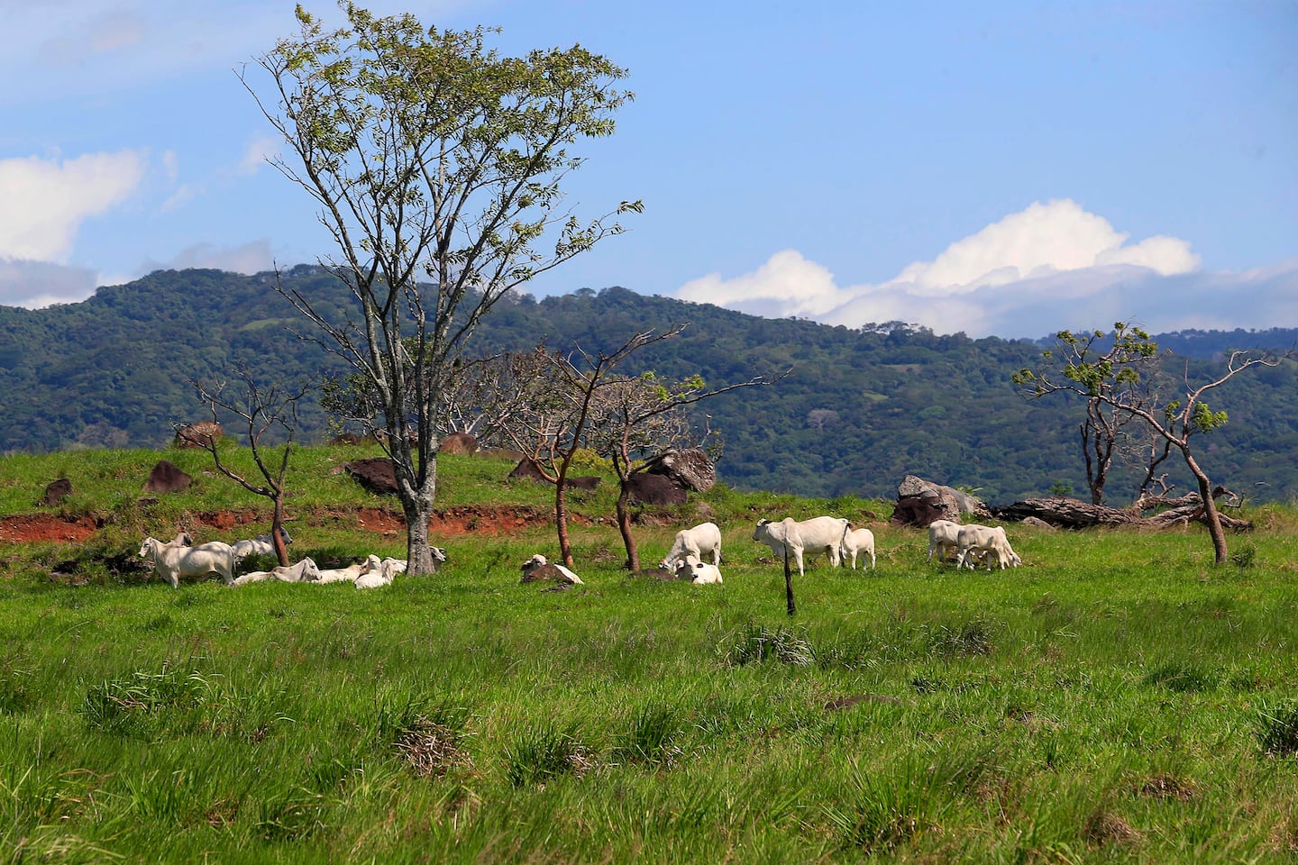 Temperaturas alcanzan hasta 37,8 °C en Costa Rica: vea cuáles fueron las zonas más calientes