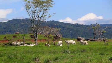 Temperaturas alcanzan hasta 37,8 °C en Costa Rica: vea cuáles fueron las zonas más calientes