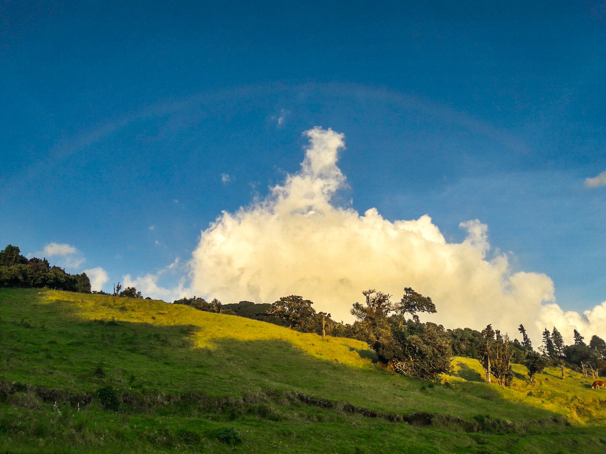 El 26 de marzo se realizará la segunda edición de la Carrera Sacramento Reto Volcán Barva. Facebook.