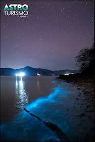 Categoría Naturaleza Noctunra: Bioluminiscencia. Nikon z6ii Iso 6000 f1.4 20seg en Paquera, Puntarenas. Tomada el 10/18/2025.