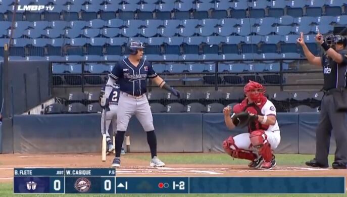 Liga Venezolana de Béisbol Profesional (LVBP)