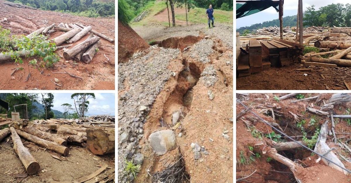 Financista de Chaves destrucción de bosque primario Portalón de Savegre, Quepos