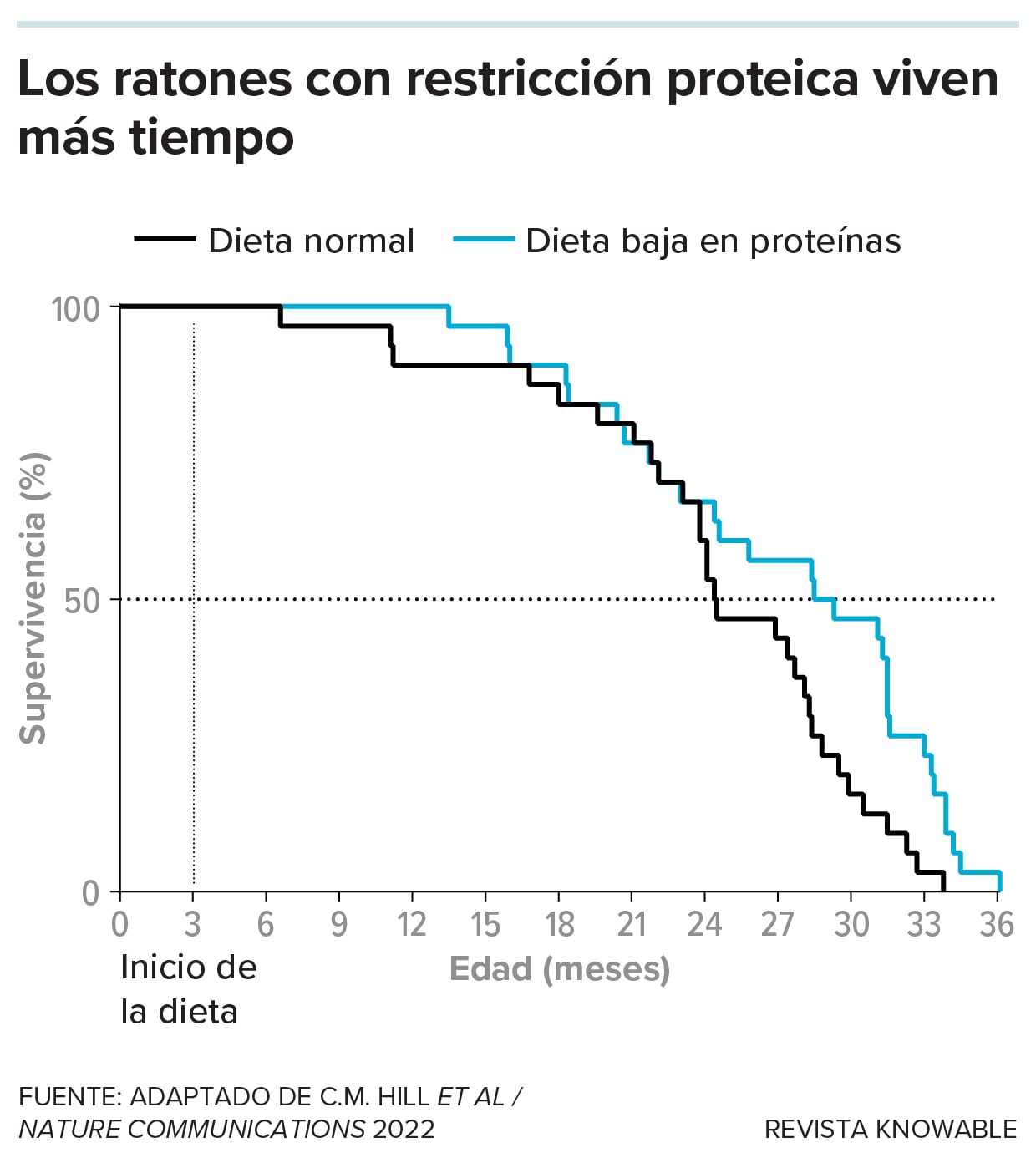 Investigadores alimentaron a 30 ratones machos con una dieta estándar con un 20 % de proteínas y a otros 30 ratones con una dieta con solo un 5 % de proteínas. Los que recibieron menos proteínas vivieron más tiempo.