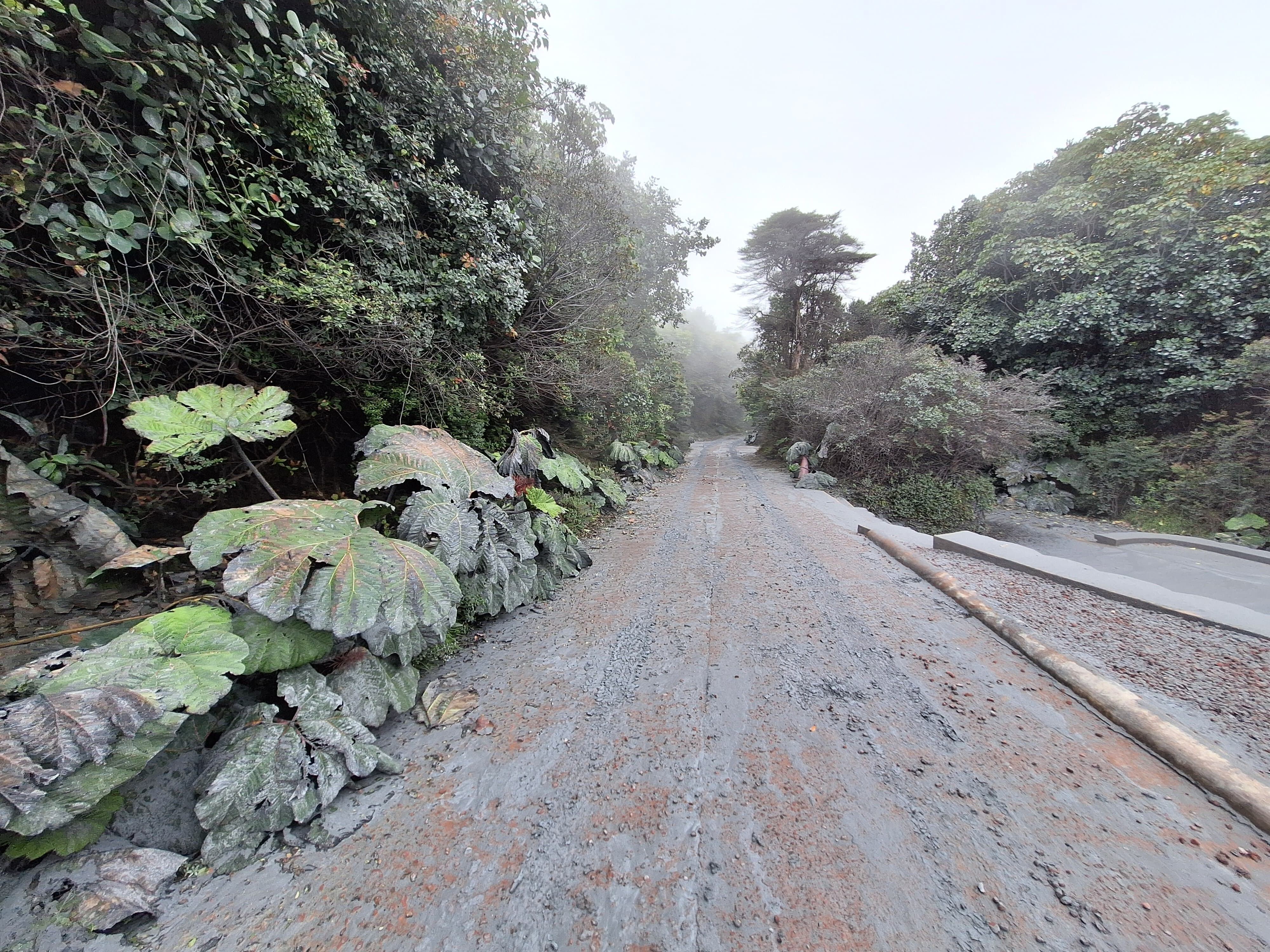 Parque Nacional Volcán Poás. Foto CNE.