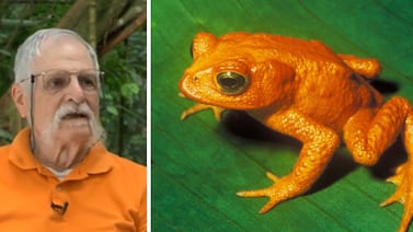 Falleció pionero del estudio de reptiles y anfibios en Costa Rica