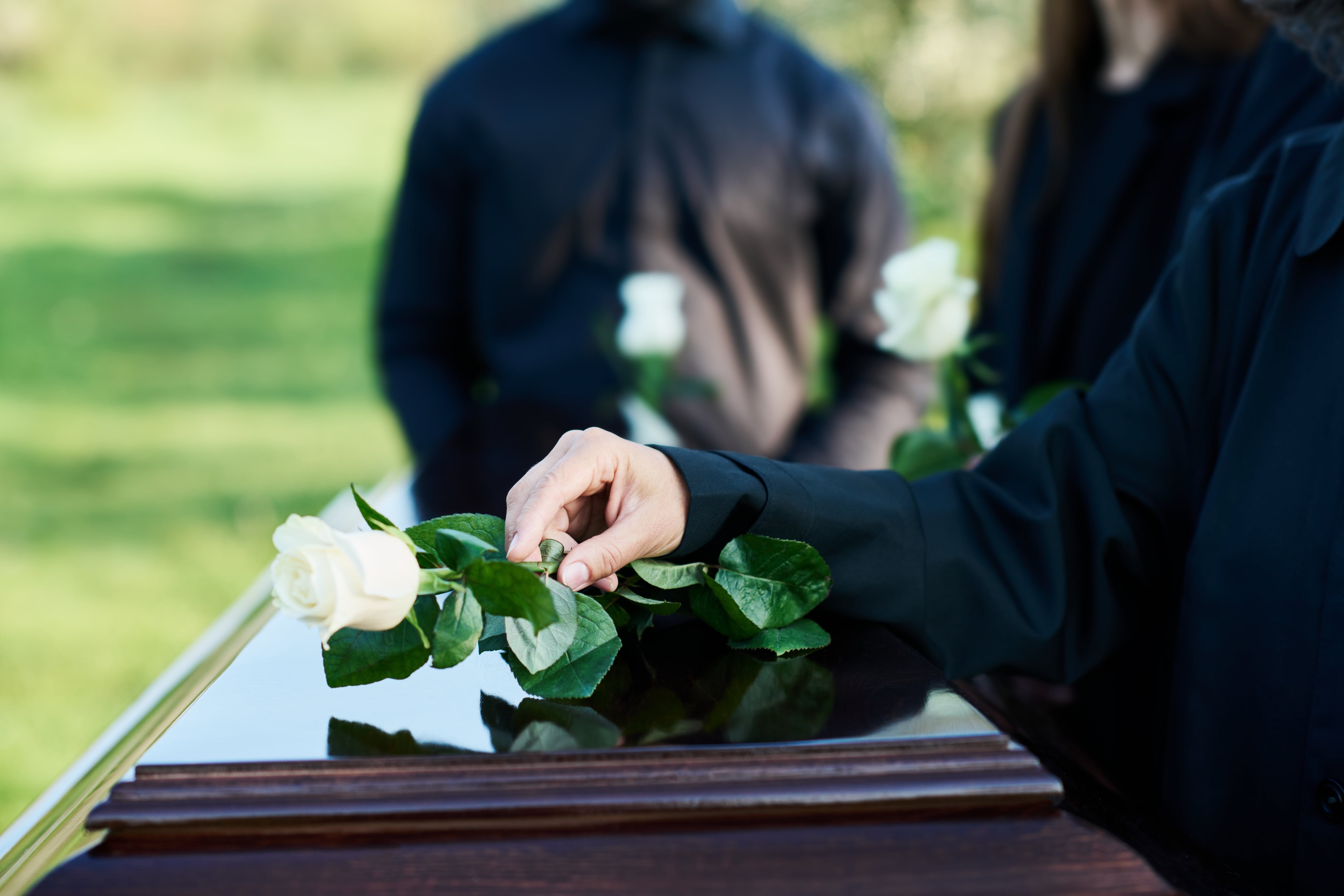Mujer coloca rosa blanca sobre ataúd cerrado. Al fondo, césped en un espacio abierto. Muerte, féretro, sepelio, entierro, persona fallecida, duelo, luto, cementerio