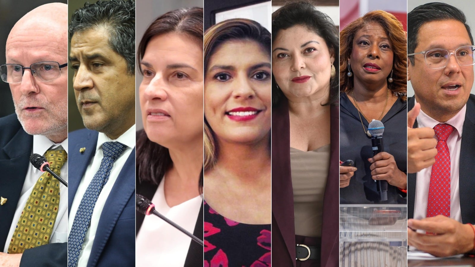 Renuncian el vicepresidente Stephan Brunner y seis jerarcas; podrían buscar diputaciones