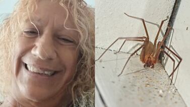 Mujer alertó sobre una plaga de arañas en su apartamento y terminó perdiendo dos dedos del pie: ahora demanda a la administración