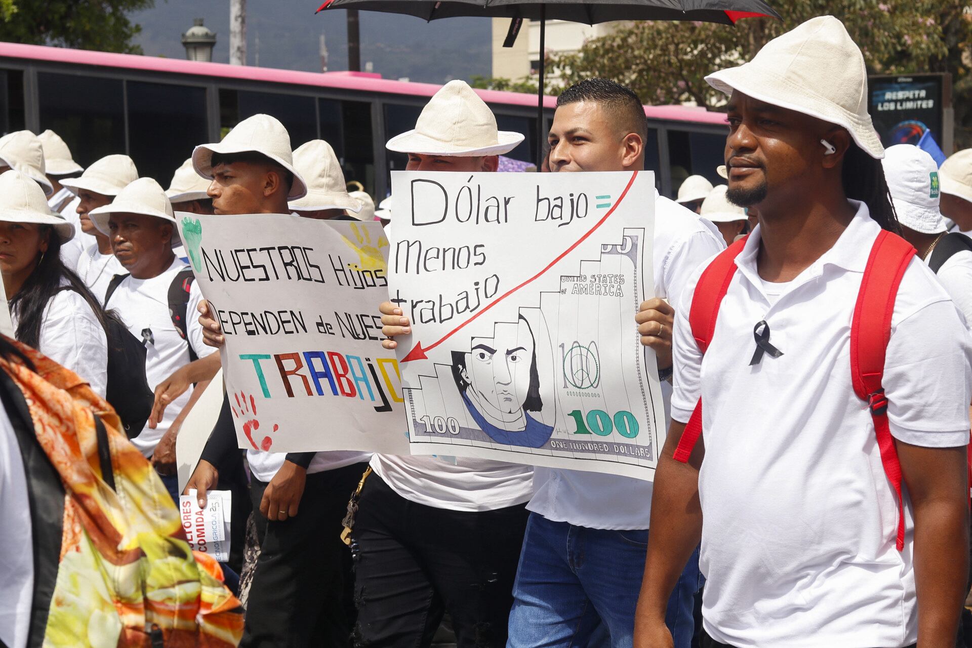 15/05/2024. Marcha de organizaciones empresariales y de productores en defensa de los empleos por la apreciación del tipo de cambio. Fotografía: Lilly Arce. En la fotografía: Miguel Gutiérrez Venegas, Valle la Estrella, Sector Banano. Limón.