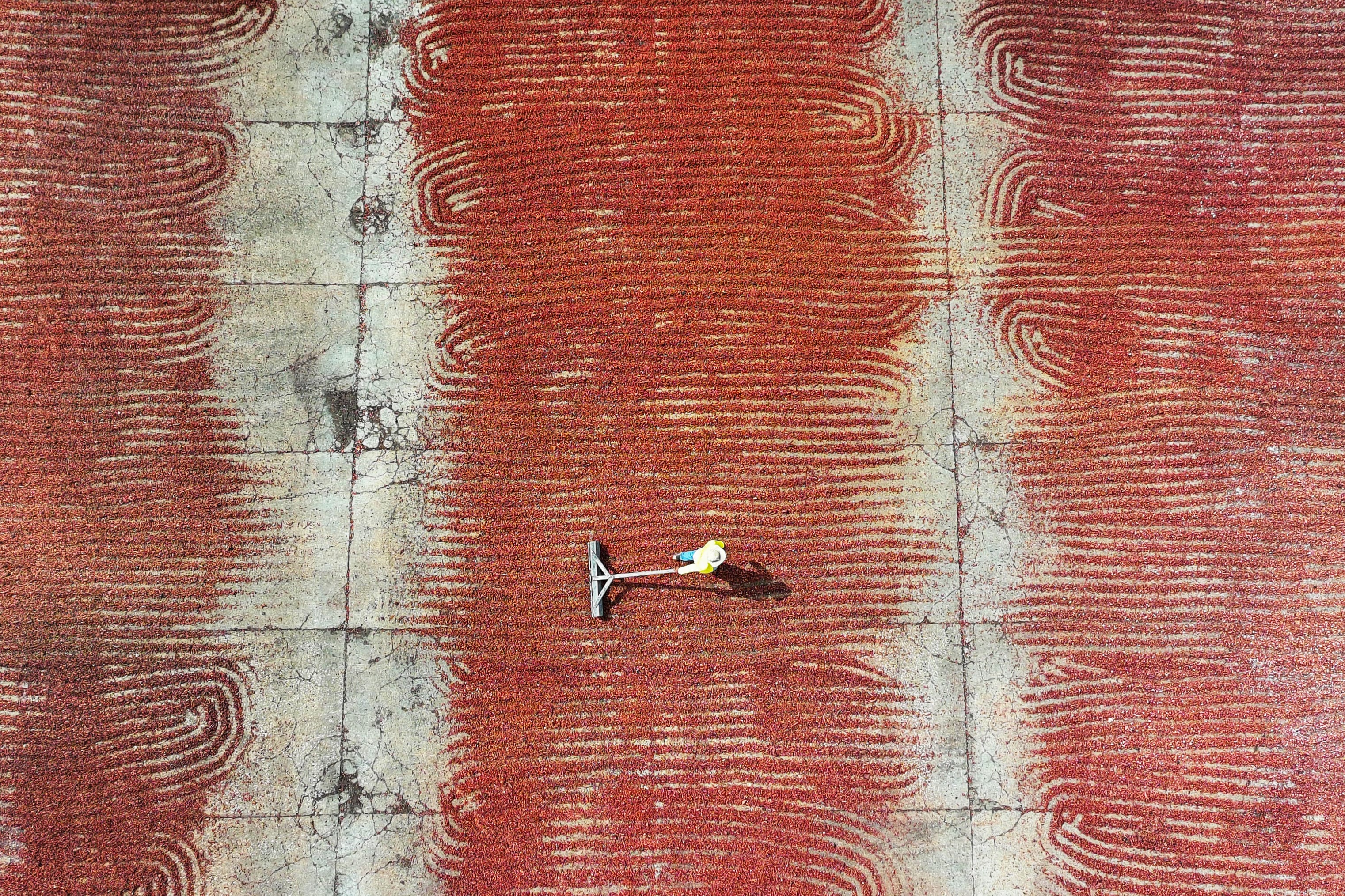 An aerial view of a worker spreading cocoa beans to dry in Guayaquil, Ecuador, on May 20, 2025. A global shortage of cocoa beans is lining the pockets of farmers in Ecuador, where cocoa is gaining ground on bananas and mining as a top export and producing a new generation of rural nouveau riche. (Photo by MARCOS PIN / AFP)