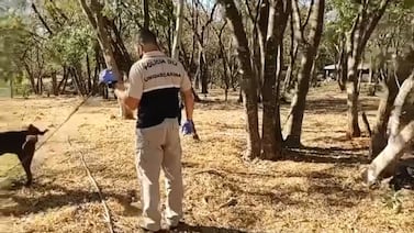 Defensa de estadounidense sospechoso de matar a argentina en Costa Rica apunta al novio de la víctima, ¿en qué se basa?