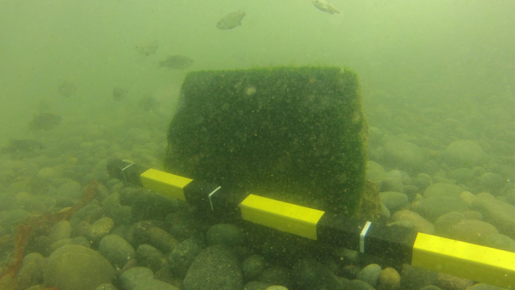 Un estudio arqueológico identificó estructuras incas y preincas sumergidas en la costa peruana y abrió el camino para su protección legal. Imagen con fines ilustrativos.