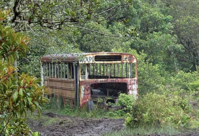 La caminata le permitirá llegar al Bus místico que se localiza en Heredia. Archivo.