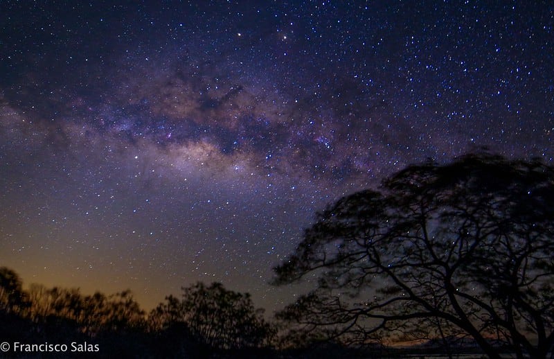 Parque Nacional Palo Verde, Foto de Francisco Salas. Fundacion Cientec