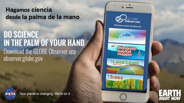 Identifique mosquitos en una ‘app’ y ayude a la NASA a rastrear enfermedades