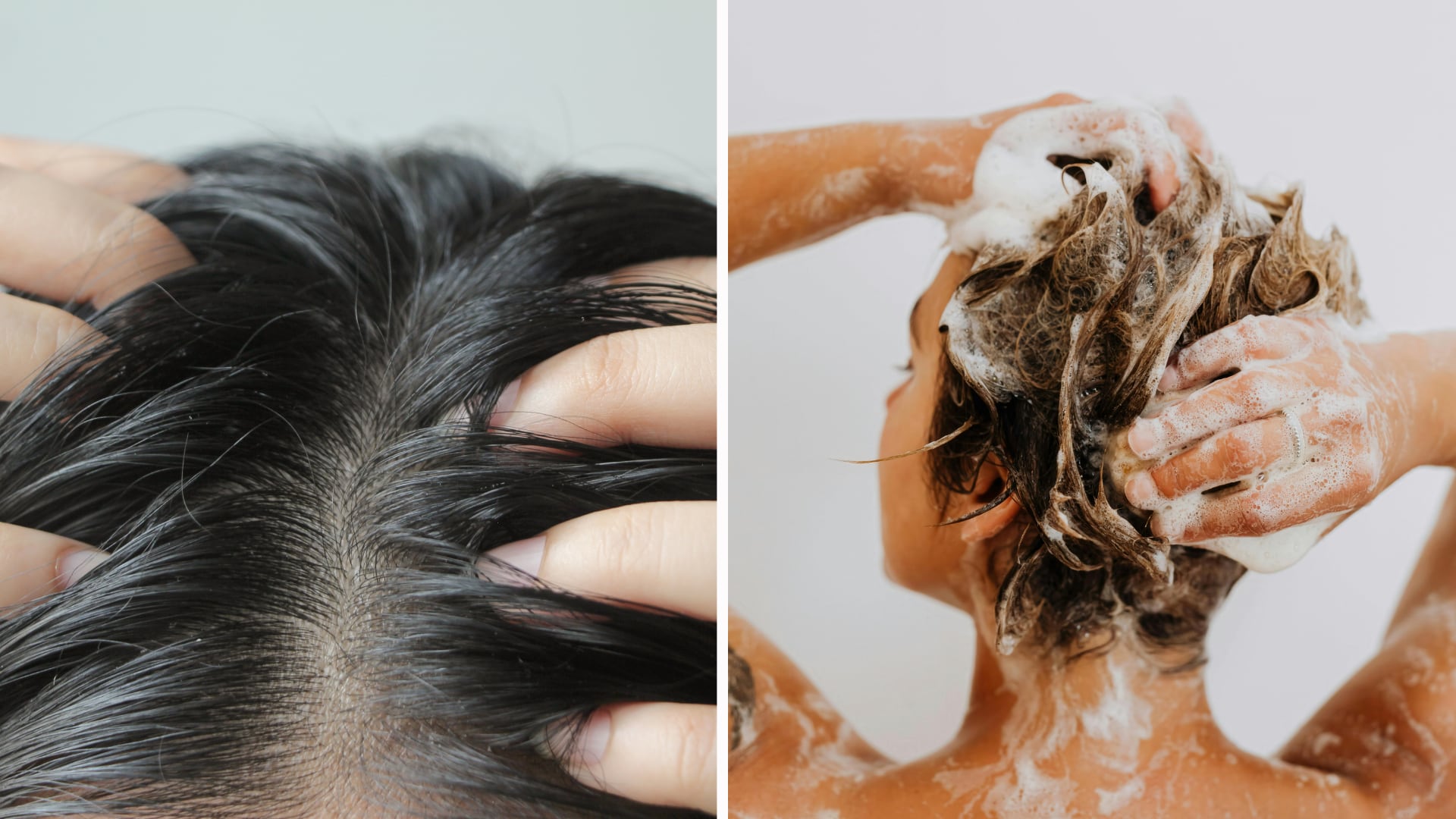 El lavado excesivo y productos inadecuados aumentan la grasa. Expertos explican cómo controlarla.