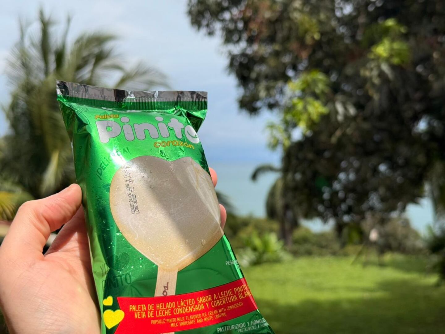 Paleta Pinito: todo lo que debe saber para conseguirla | La Nación