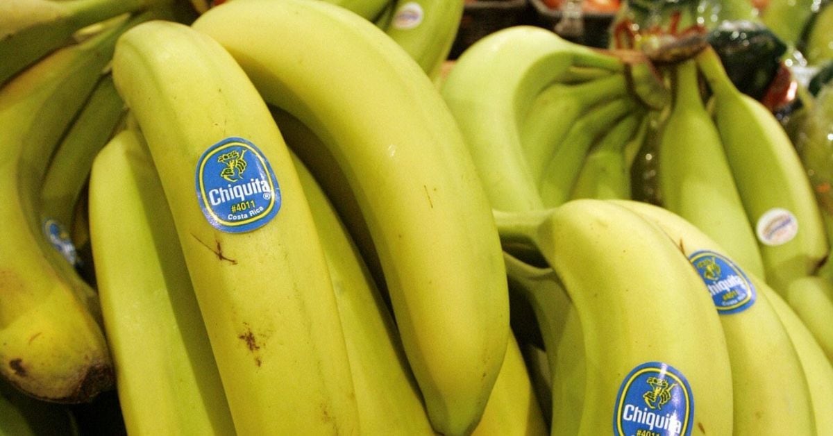 En la imagen bananos con un sticker de Chiquita
